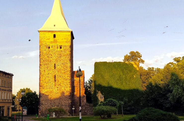 Wieża Wartownicza i Domek Winny otwarte dla turystów Wieża Wartownicza w Żarach