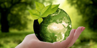 Ekologia, ochrona środowiska