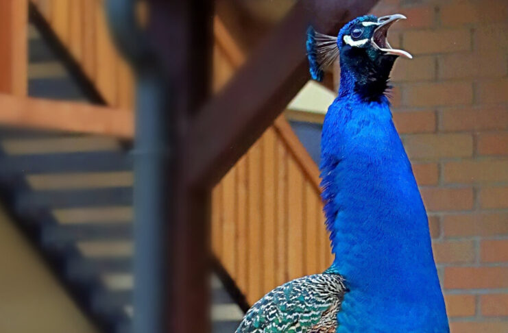 Majówka w zoo