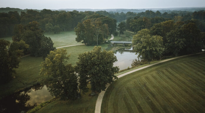 Park Mużakowski